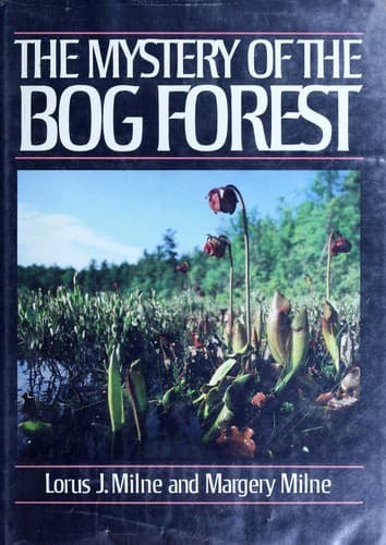 Cover of The mystery of the bog forest