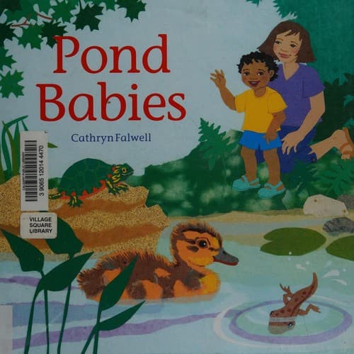 Cover of Pond babies