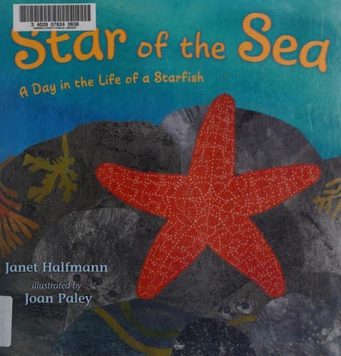 Cover of Star of the sea