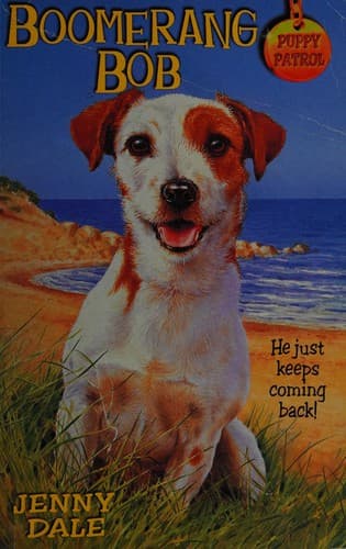 Cover of Boomerang Bob