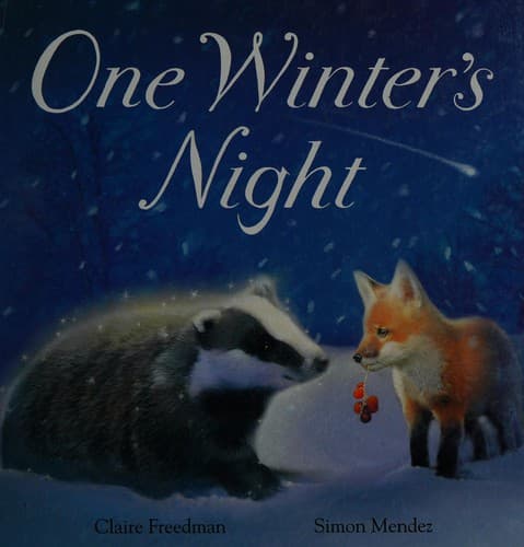 Cover of One winter's night