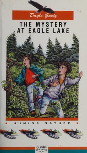 Cover of The mystery at Eagle Lake