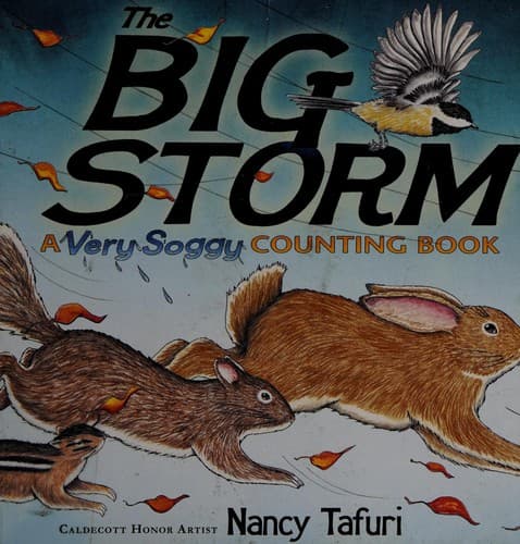 Cover of The big storm