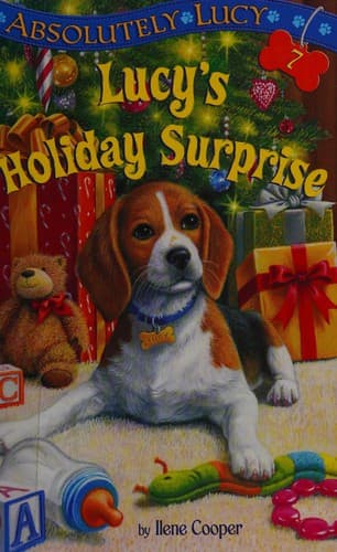 Cover of Lucy's holiday surprise