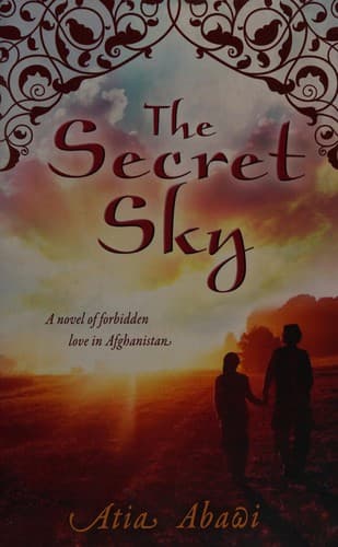Cover of The secret sky