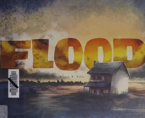 Cover of Flood
