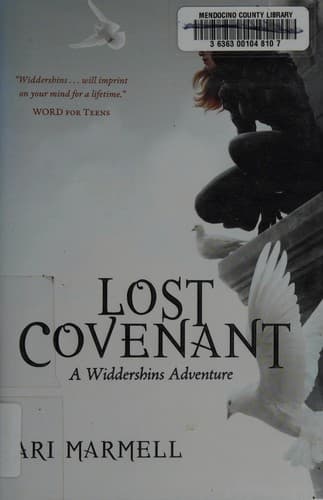 Cover of Lost covenant