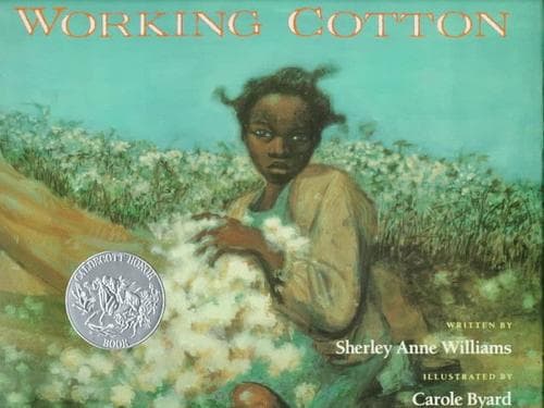 Cover of Working Cotton