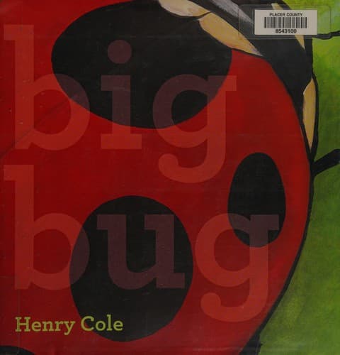 Cover of Big bug