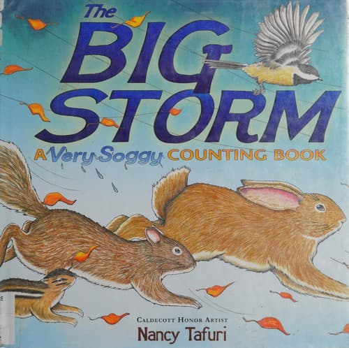 Cover of The very big scary storm