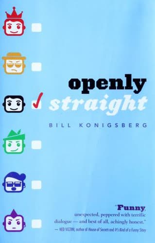 Cover of Openly straight