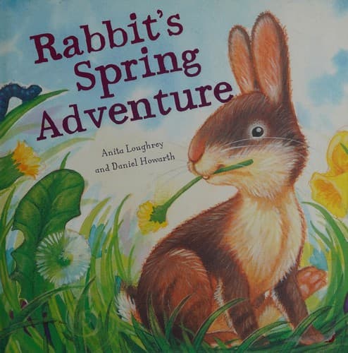 Cover of Rabbit's spring adventure