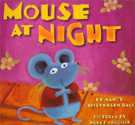 Cover of Mouse at night