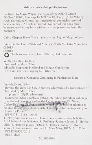 Cover of Beyond the grave
