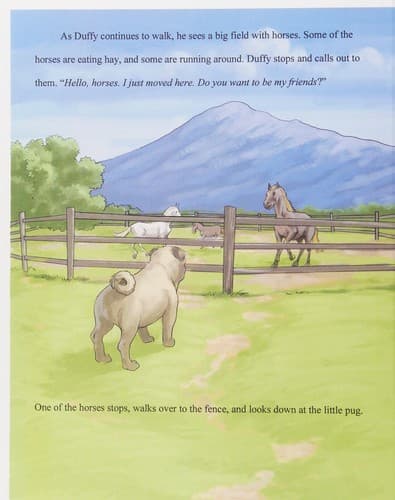 Cover of Meet Duffy T. McGraw