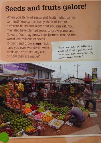 Cover of Seeds and Fruits