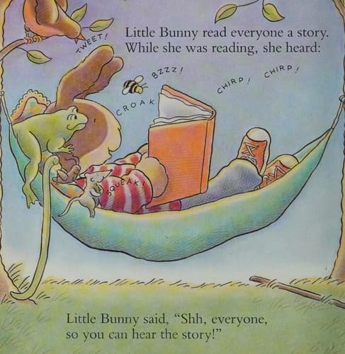 Cover of Little Bunny's noisy friends