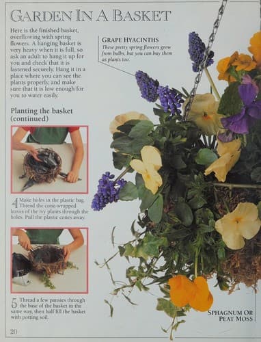 Cover of My First Garden Book