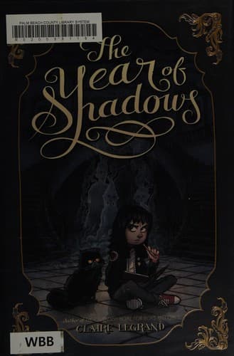 Cover of The year of shadows