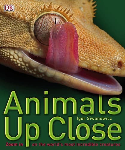 Cover of Animals up close