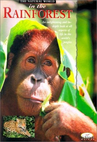 Cover of In the Rainforest (Ticktock Guides)