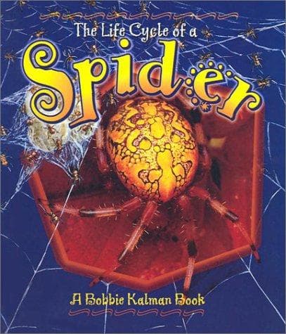 Cover of Life Cycle of a Spider (Life Cycle of A...)