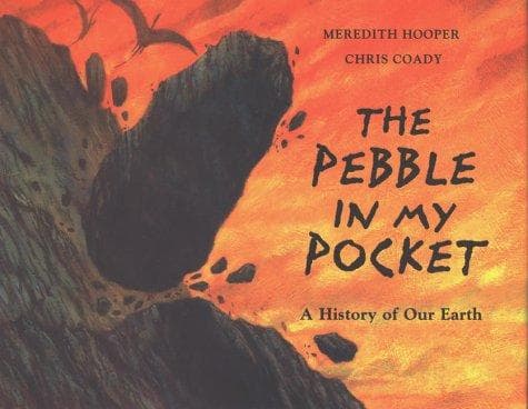 Cover of The pebble in my pocket