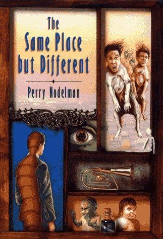 Cover of The same place but different