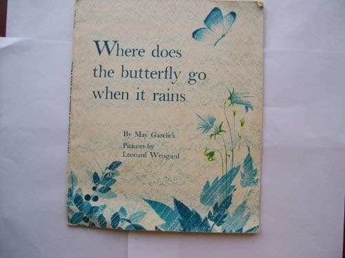 Cover of Where does the butterfly go when it rains?
