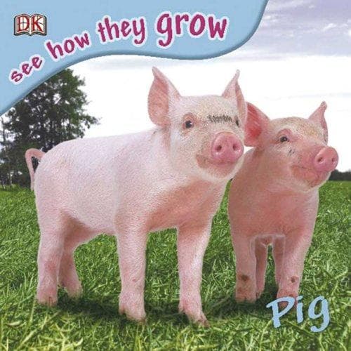 Cover of Pig