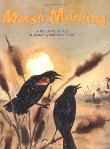 Cover of Marsh Morning