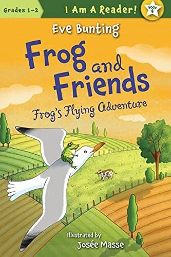 Cover of Frog's flying adventure