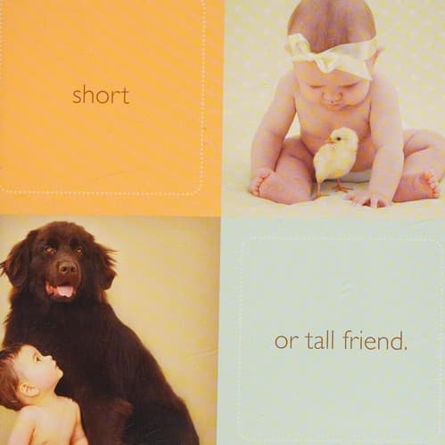 Cover of Baby's best friend