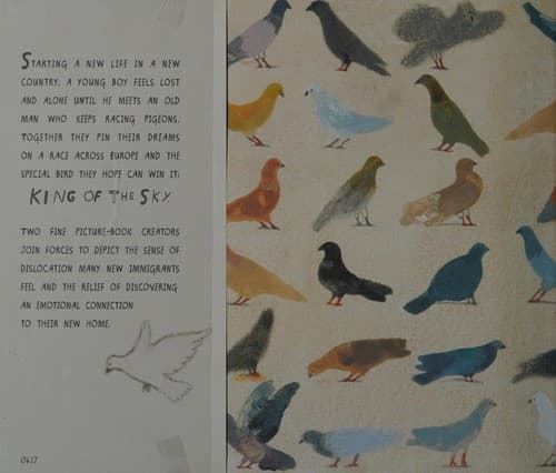 Cover of King of the Sky