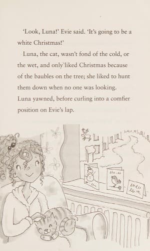 Cover of Evie's Magic Bracelet