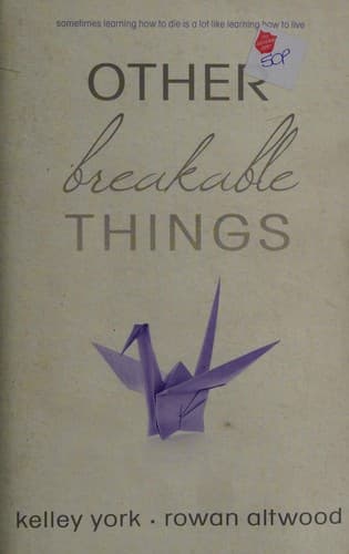 Cover of Other Breakable Things
