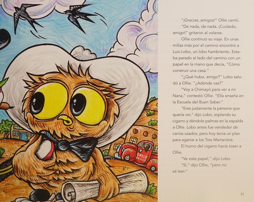Cover of Owl in a Straw Hat