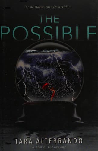 Cover of The possible