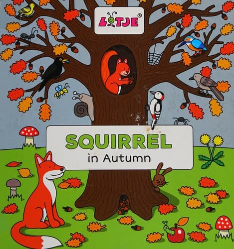 Cover of Squirrel in Autumn