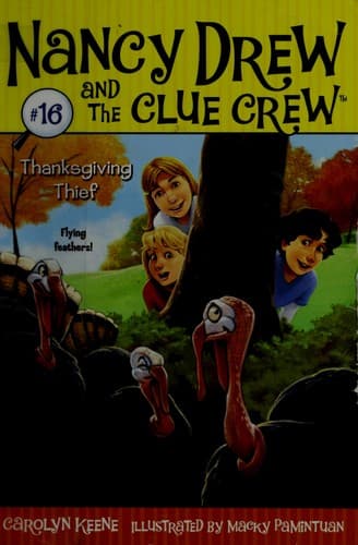 Cover of Thanksgiving Thief