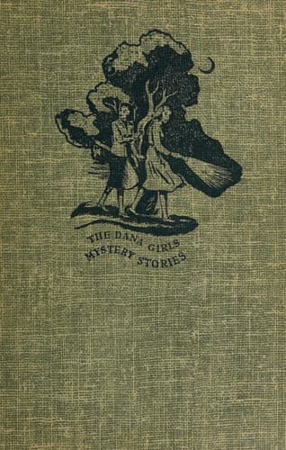 Cover of The secret of the Swiss chalet