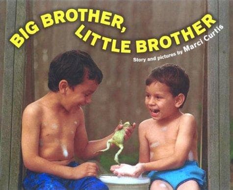 Cover of Big brother, little brother