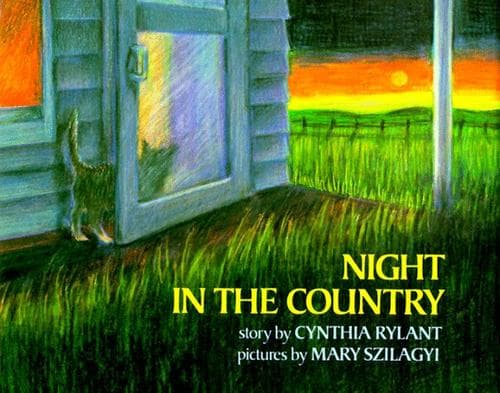 Cover of Night in the country