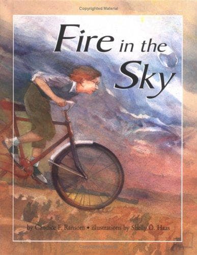 Cover of Fire in the sky
