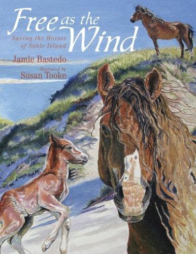 Cover of Free as the Wind (Northern Lights Books for Children)
