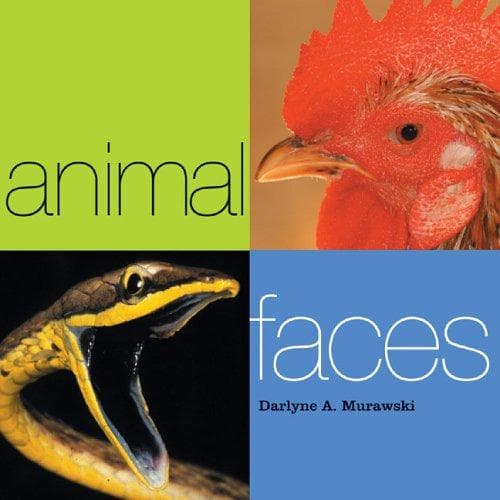 Cover of Animal Faces