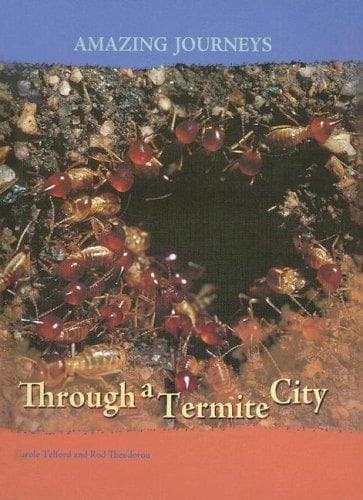 Cover of Through a Termite City (Amazing Journeys/2nd Edition)