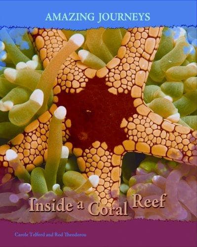 Cover of Inside a Coral Reef (Amazing Journeys/2nd Edition)