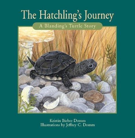 Cover of The Hatchling's Journey