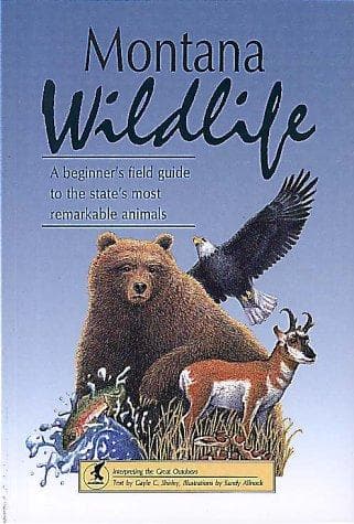 Cover of Montana wildlife